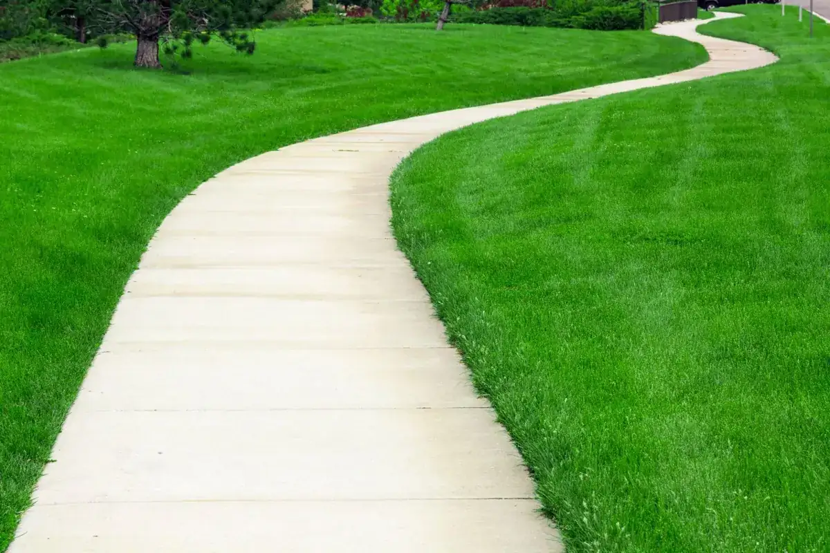 curving broom finish concrete sidewalk across a green lawn in Royal Palm Beach